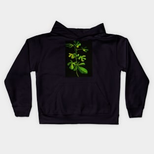 Ficus Kids Hoodie